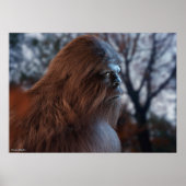 BIGFOOT SASQUATCH-PORTRAIN IN PROFIL BEI DUSK IV POSTER (Vorne)