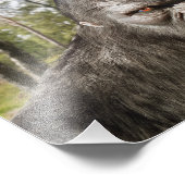 BIGFOOT SASQUATCH PORTRAIT Foto Erweiterung (Ecke)