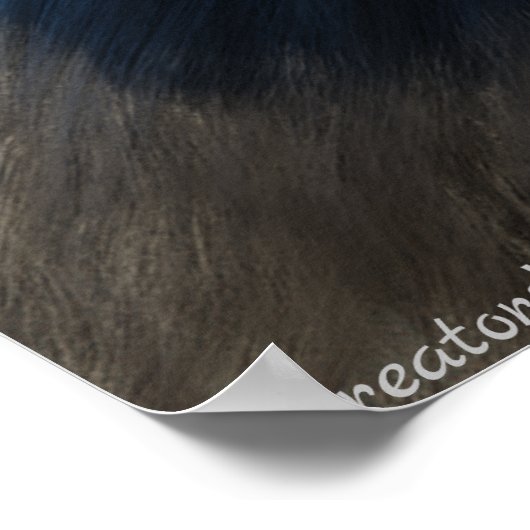 BIGFOOT SASQUATCH-PORTRATRAT NAH NACH OBEN III POSTER (Ecke)