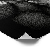 Bigfoot und Waschbär Stinkefinger Poster (Ecke)