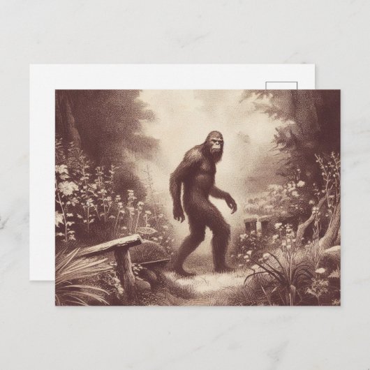 Bigfoot Vintag Illustration Folklore Postkarte (Vorne/Hinten)