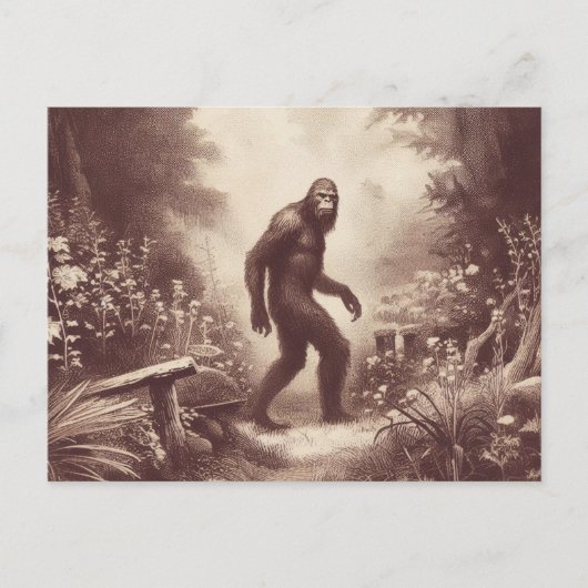 Bigfoot Vintag Illustration Folklore Postkarte (Vorderseite)