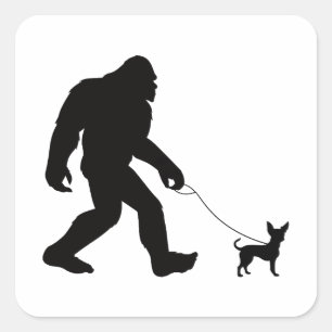 Bigfoot Walking Chihuahua Quadratischer Aufkleber
