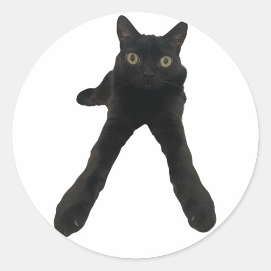 Bigfootjinx Katze Runder Aufkleber (Vorderseite)