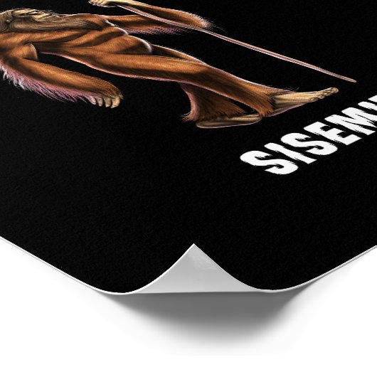 Bigfoots of the World Poster (Ecke)