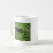 biggby summer.jpg kaffeetasse (Vorderseite Links)