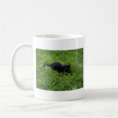 biggby summer.jpg kaffeetasse (Links)