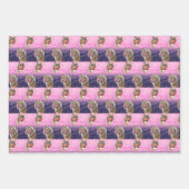 Biggie das Bulldog-Giftwrap-Set von 3 Geschenkpapier Set (Vorderseite 3)