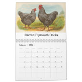 Biggle Geflügel tragen ein Kalender (Feb 2026)