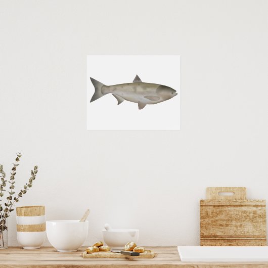 Bighead Carp Poster (Küche)