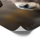 Bighorn Brothers Poster (Ecke)