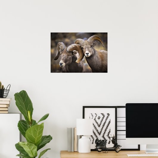 Bighorn Brothers Poster (Heimbüro)