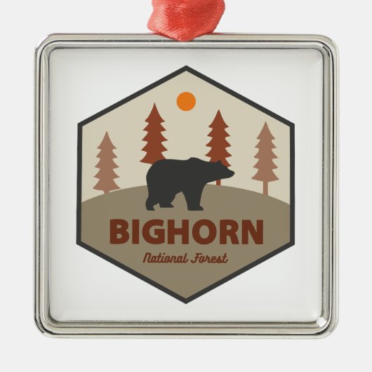 Bighorn National Forest Wyoming Bear Ornament Aus Metall (Vorne)
