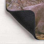 Bighorn-RAM Mousepad (Ecke)