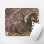Bighorn-RAM Mousepad (Mit Mouse)