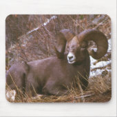 Bighorn-RAM Mousepad (Vorne)