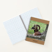 Bighorn Ram Notebook Notizblock (Innenseite)