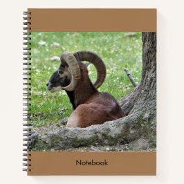 Bighorn Ram Notebook Notizblock