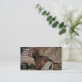 Bighorn-RAM Visitenkarte (Stehend Vorderseite)