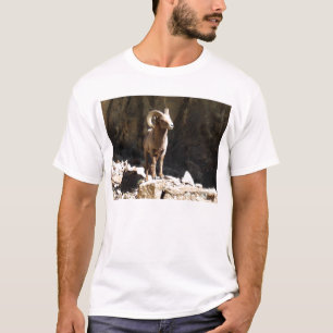 Bighorn-Schaf-RAM nahe Felsen in Colorado T-Shirt