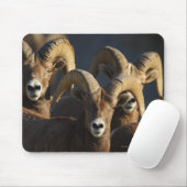 Bighorn-Schafe Mousepad (Mit Mouse)