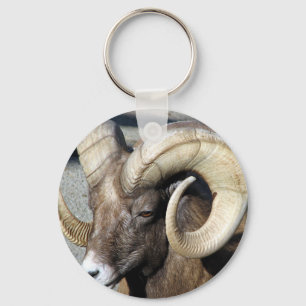 Bighorn-Schafe Schlüsselanhänger