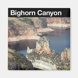 Bighorn-Schlucht NRA Magnet