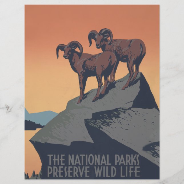 Bighorn Sheep American West Wildlife (Vorderseite)