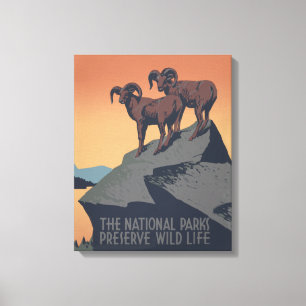 Bighorn Sheep American West Wildlife Leinwanddruck