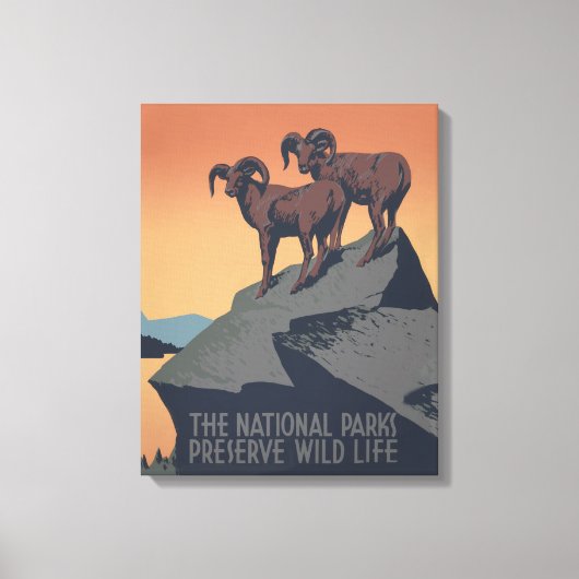 Bighorn Sheep American West Wildlife Leinwanddruck (Vorderseite)