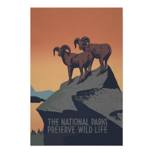 Bighorn Sheep American West Wildlife Poster (Vorderseite)