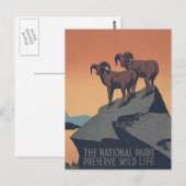Bighorn Sheep American West Wildlife Postkarte (Vorne/Hinten)
