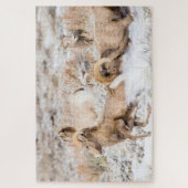 Bighorn Sheep Battle Puzzle (Vertikal)