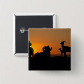 Bighorn Sheep Button (Vorne & Hinten)