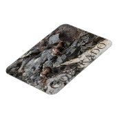 Bighorn Sheep Colorado Souvenir Magnet (Linke Seite)