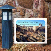 BIghorn Sheep Ewes and Young, BIghorn Canyon Magnet