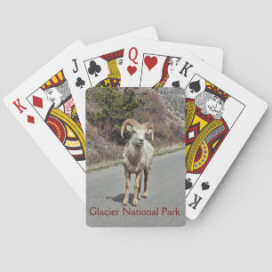 Bighorn Sheep Foto Spielkarten