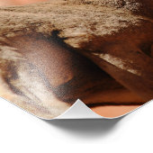 Bighorn Sheep Fotodruck (Ecke)