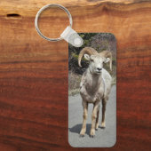Bighorn Sheep Fotograf Schlüsselanhänger (Vorderseite)