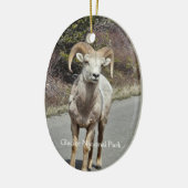 Bighorn Sheep Keramik Ornament (Links)