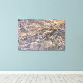 Bighorn Sheep Leinwanddruck (Insitu (Holzboden))