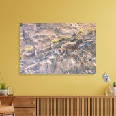 Bighorn Sheep Leinwanddruck (Insitu (Wohnzimmer))