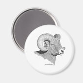 Bighorn Sheep Magnet (Vorderseite/Rückseite)