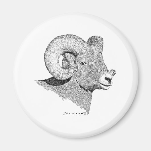 Bighorn Sheep Magnet (Vorne)