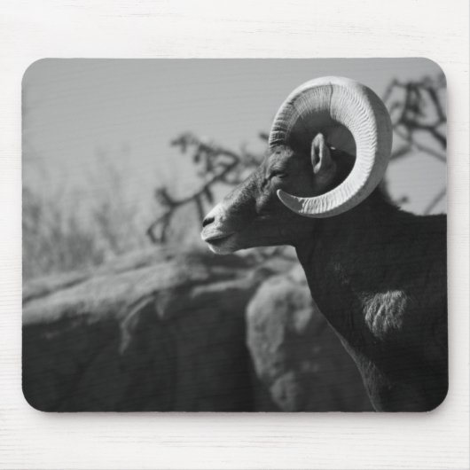 Bighorn Sheep Mousepad (Vorne)