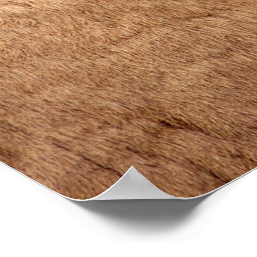 Bighorn Sheep Poster (Ecke)