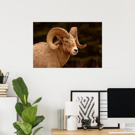 Bighorn Sheep Poster (Heimbüro)