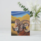 Bighorn Sheep Postkarte (Stehend Vorderseite)