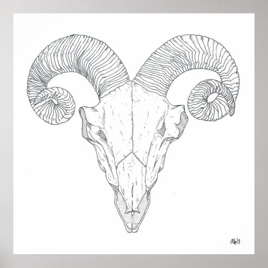 Bighorn Sheep Print (groß) Poster (Vorne)