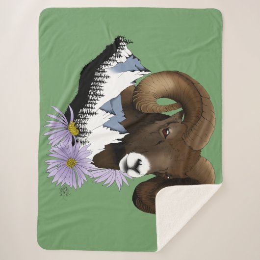 Bighorn Sheep Ram Green Mountains Sherpadecke (Vorderseite)